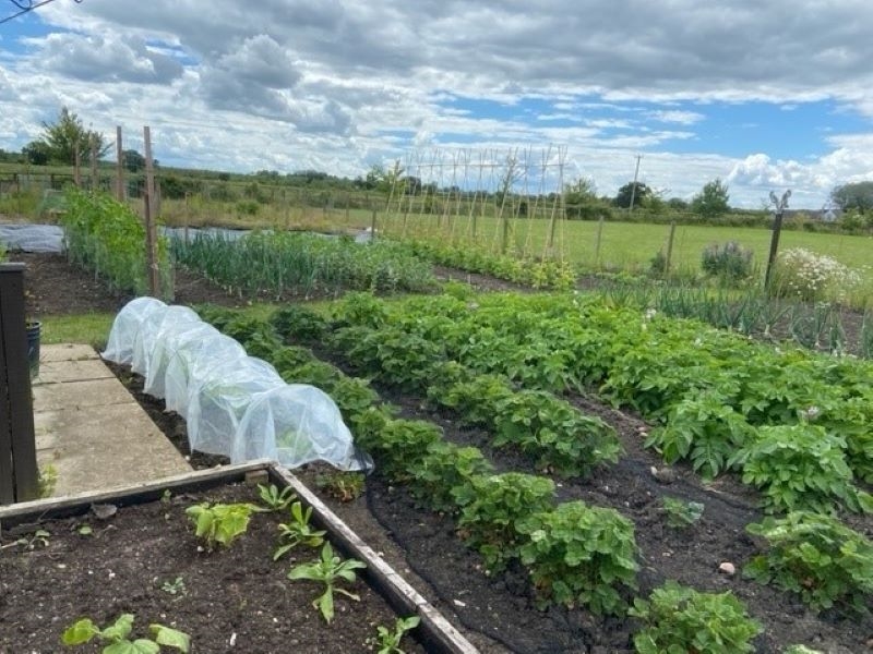 Pebworth Allotments